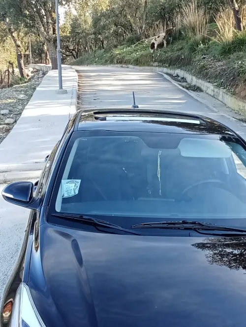 Kia Rio 5 portes 2019 Funny