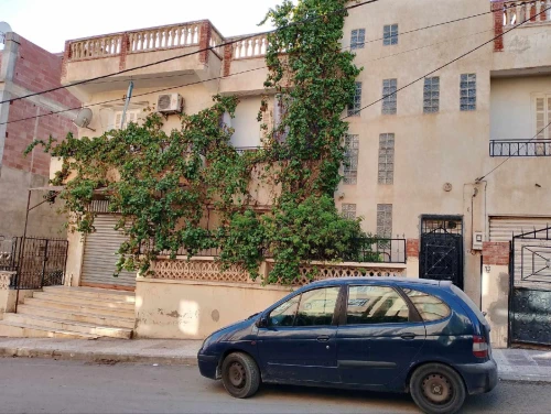 Vente bien immobilier Mila Ferdjioua