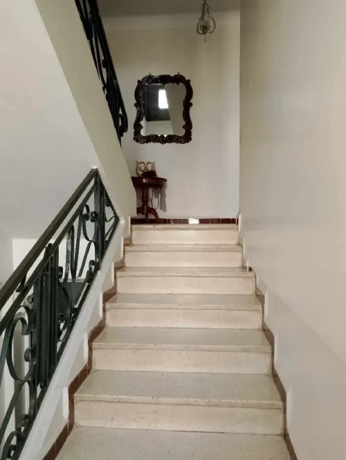 Vente bien immobilier Mila Ferdjioua