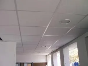 Faux-plafon démontable 
