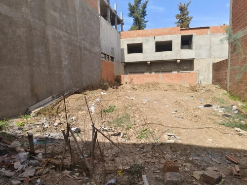Vente Terrain Blida Chebli