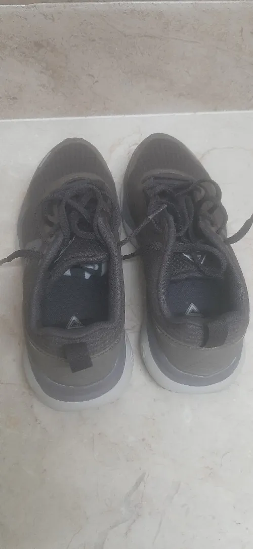 Peak Taichi Walking Shoes Dark Coffee
