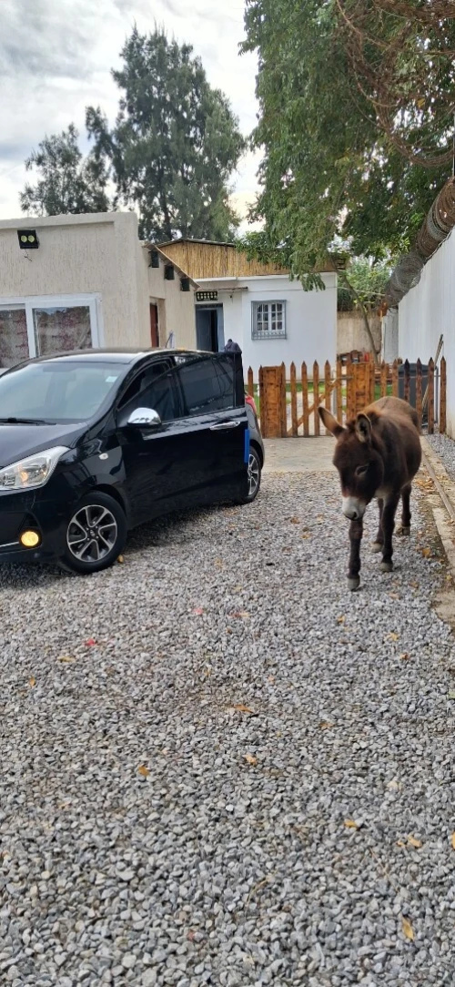 Hyundai Grand i10 2020 