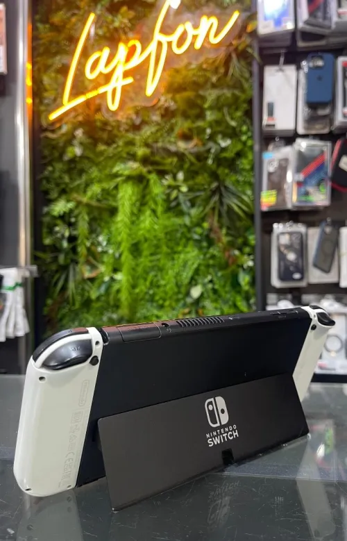 NINTENDO SWITCH OLED FLASHER