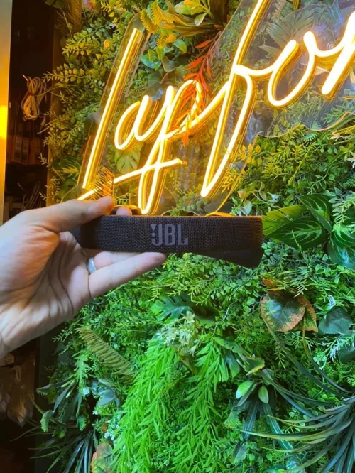 CASQUE JBL LIVE 650