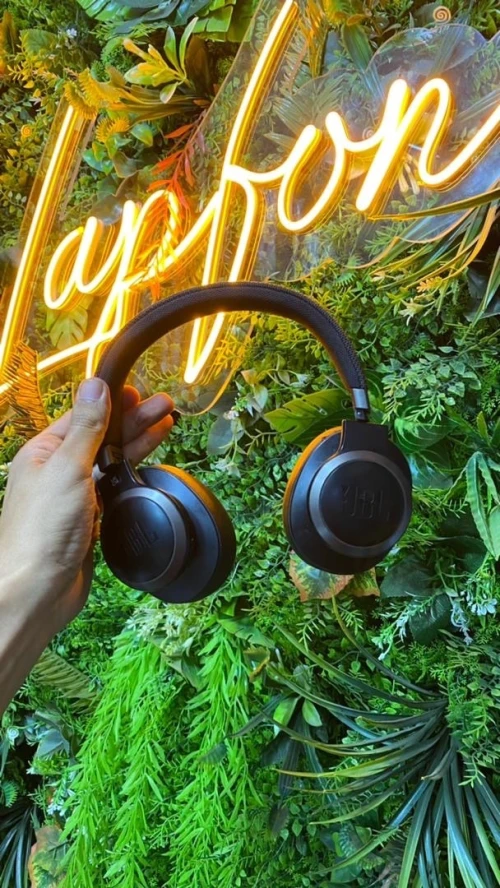 CASQUE JBL LIVE 650