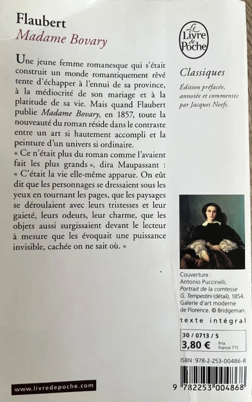 Roman Flaubert Madame bovary 