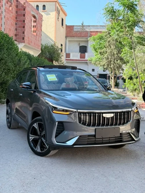 Geely Cityray  2026 10 th Anniversary champion edition 