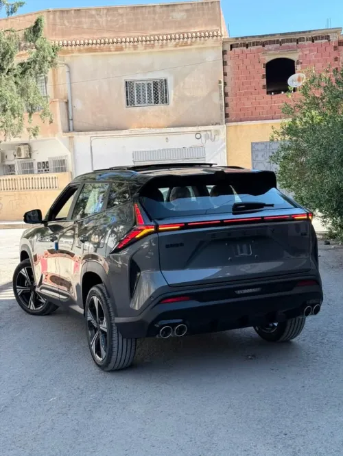 Geely Cityray  2026 10 th Anniversary champion edition 