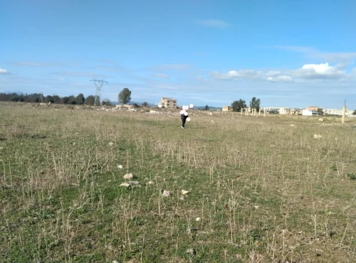 Vente Terrain Alger Tessala el merdja
