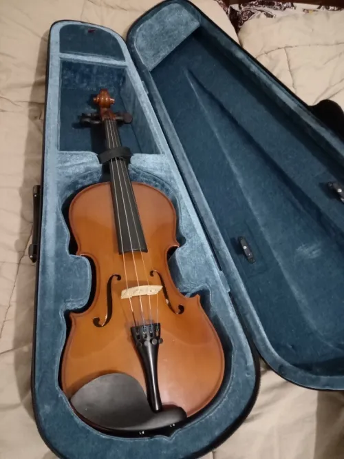 Violon Alto 15 "