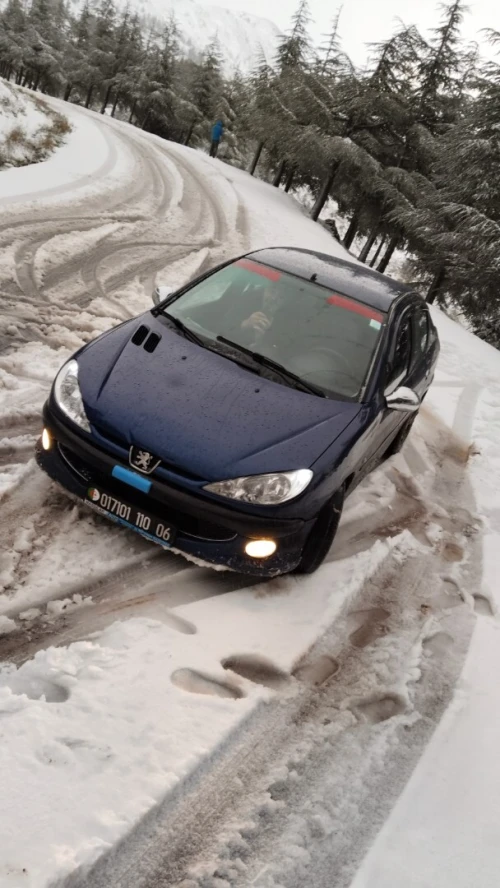 Peugeot 206 Sedan 2010 206 Sedan