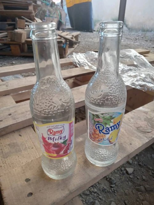 VENTE DE BOUTEILLES DE 25 CL EN TRES BON ÉTAT 