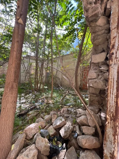 Vente Terrain Tébessa Tebessa