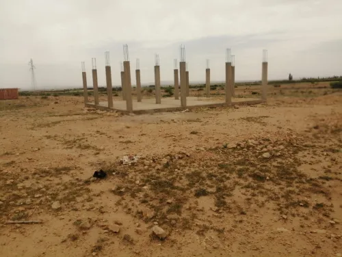 Vente Terrain Tiaret Serghine