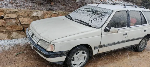 Peugeot 405 1990 405