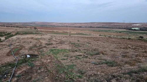 Vente Terrain Agricole Oran Boufatis