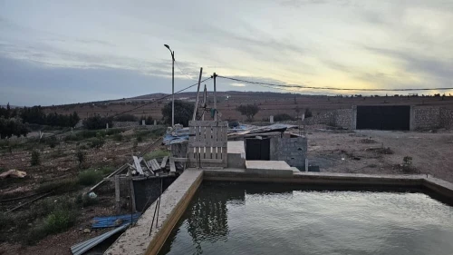 Vente Terrain Agricole Oran Boufatis 3