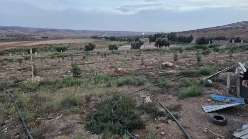 Vente Terrain Agricole Oran Boufatis 10