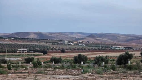Vente Terrain Agricole Oran Boufatis 14
