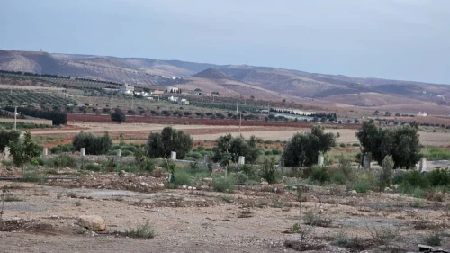 Vente Terrain Agricole Oran Boufatis 5