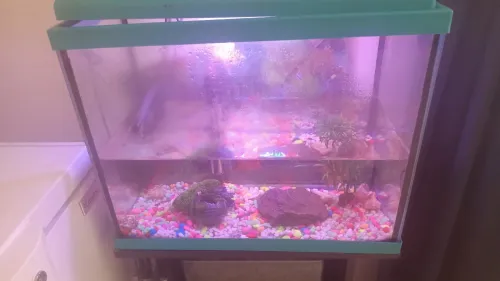 Aquarium 