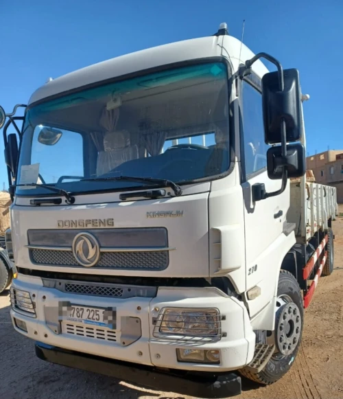 Dong fong 10 ton 2025