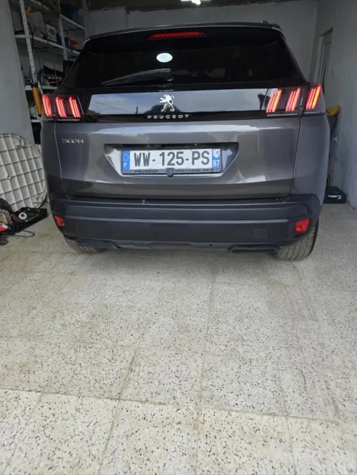 Peugeot 3008 2022 3008