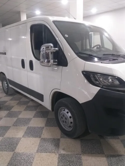 Peugeot Boxeur caniche 2015