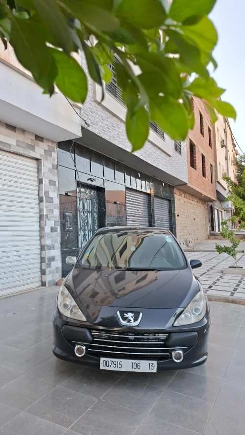 Peugeot 307 2006 Oxygo