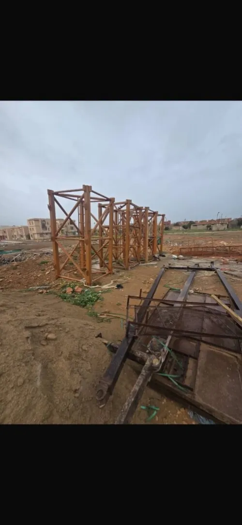 Grue chinois