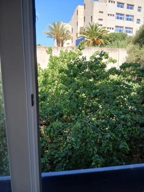 Vente Appartement F3 Alger Dely brahim