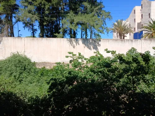 Vente Appartement F3 Alger Dely brahim