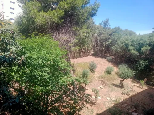 Vente Appartement F4 Alger Dely brahim