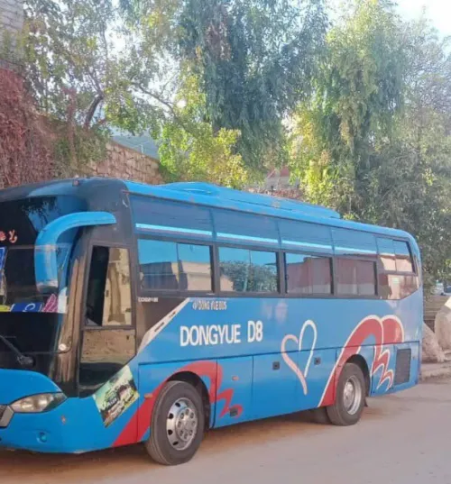 Dongyue D8 2011