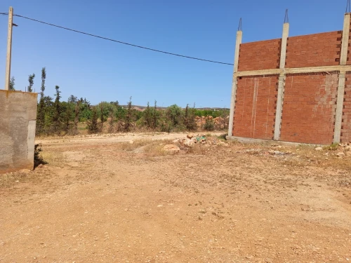 Vente Terrain Oran Boutlelis