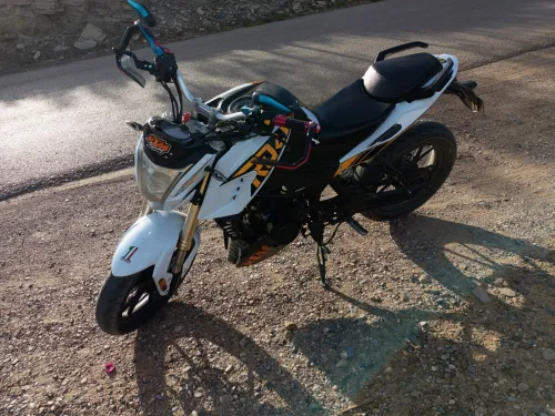 Sam 250cc Rook 2020