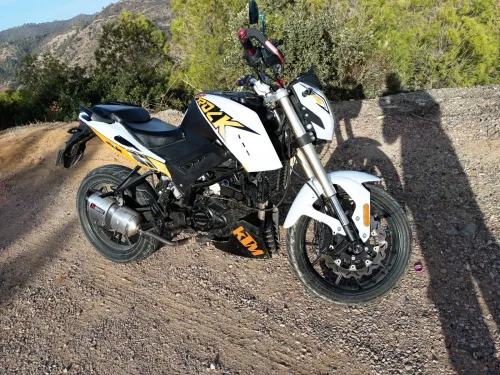 Sam 250cc Rook 2020