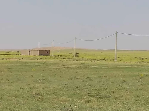 Vente Terrain Agricole M'Sila Zerarka