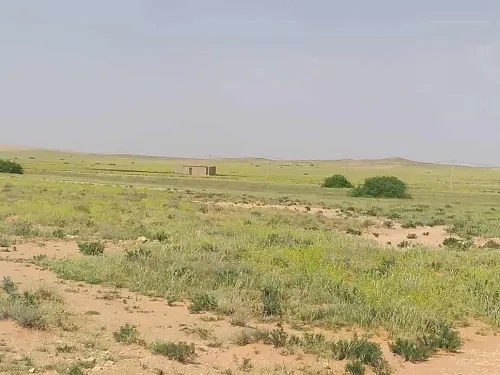 Vente Terrain Agricole M'Sila Zerarka