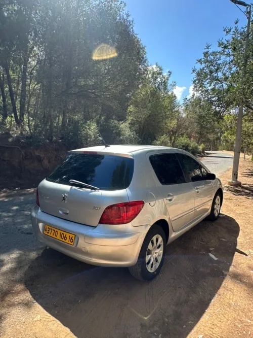 Peugeot 307 2006 Oxygo