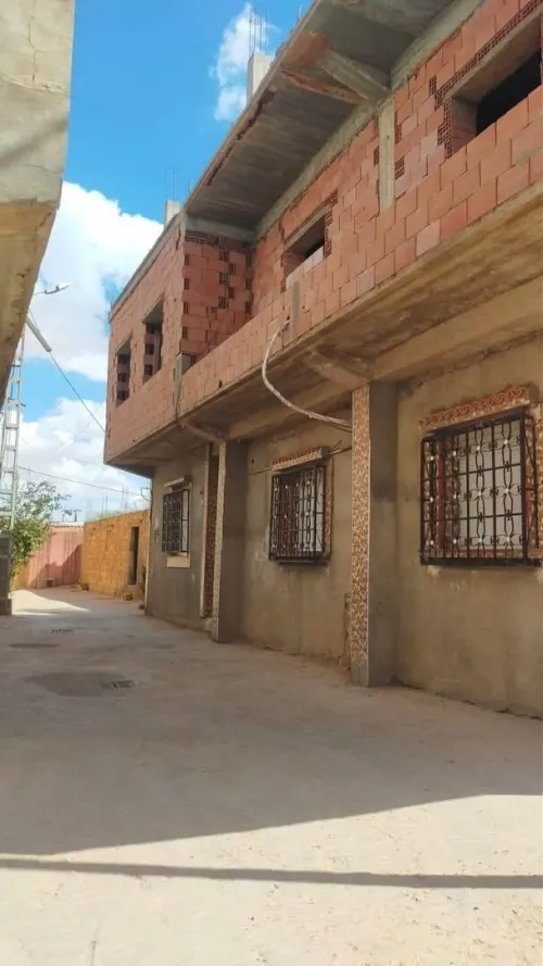 Vente Terrain Tiaret Ain bouchekif