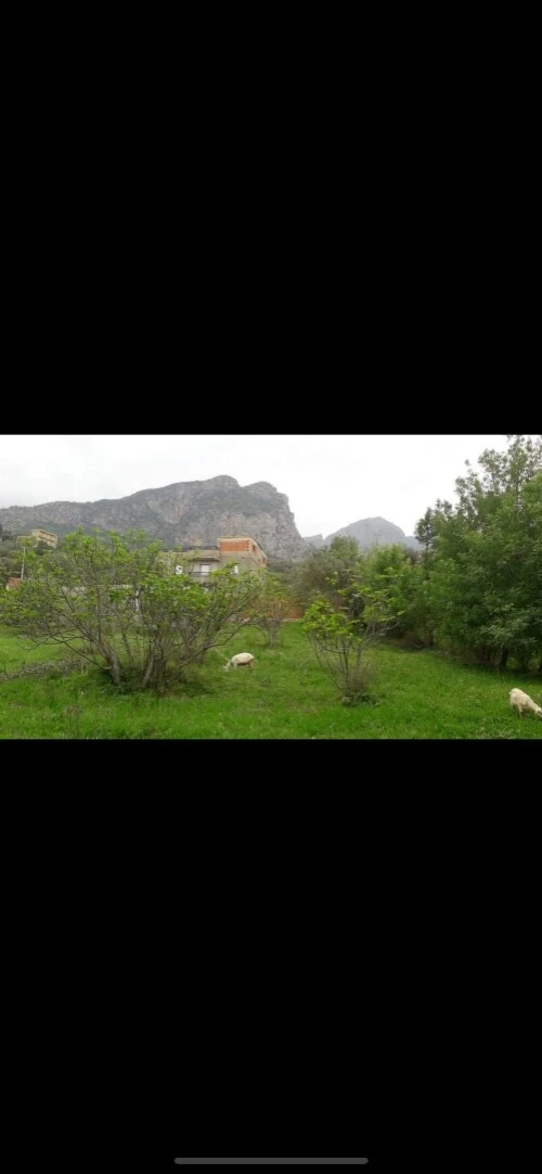 Vente Terrain Tizi Ouzou Agouni gueghrane