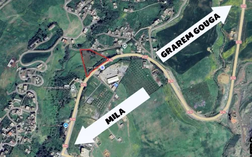 Vente Terrain Mila Mila