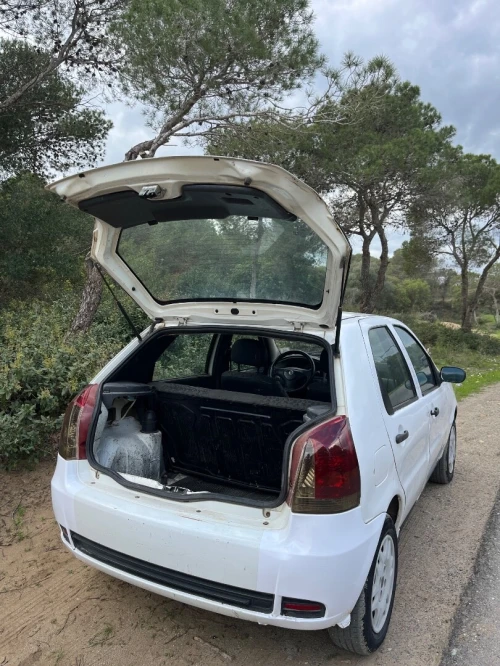 Fiat Palio 2008 Fire