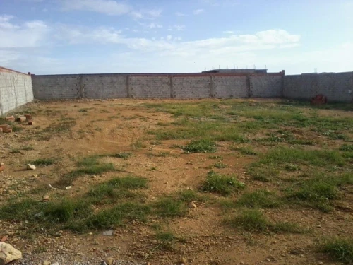 Vente Terrain Alger Cheraga