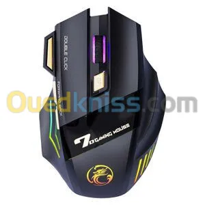 Souris sans fil Gamer Rechargeable, Ergonomique 3 Niveaux DPI Réglable Souris avec 7 Bouton, RGB 