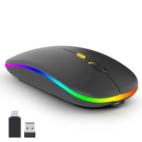 SOURIS SANS FIL+BLUETOOTH RECHARGABLE
