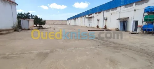 Location Hangar Oran Es senia