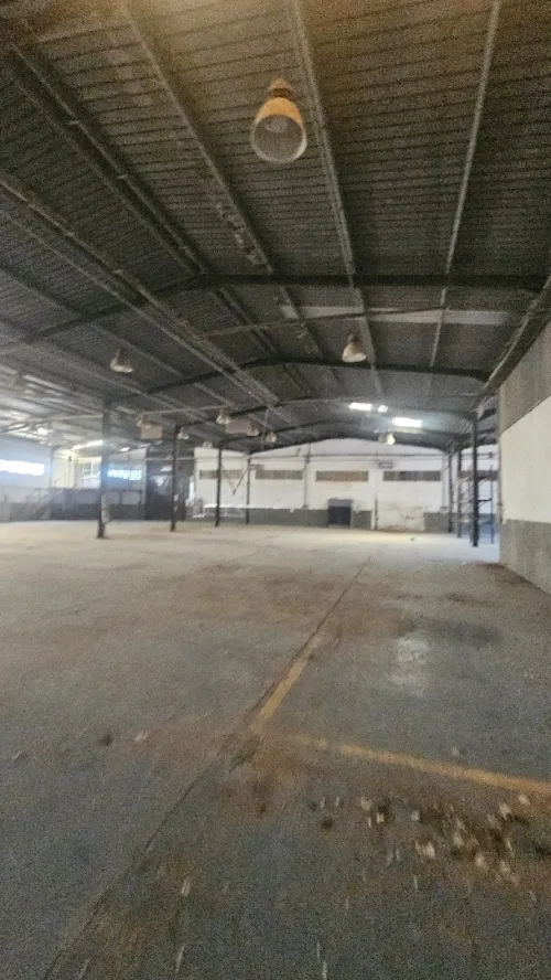 Location Hangar - Usine Oran Oran